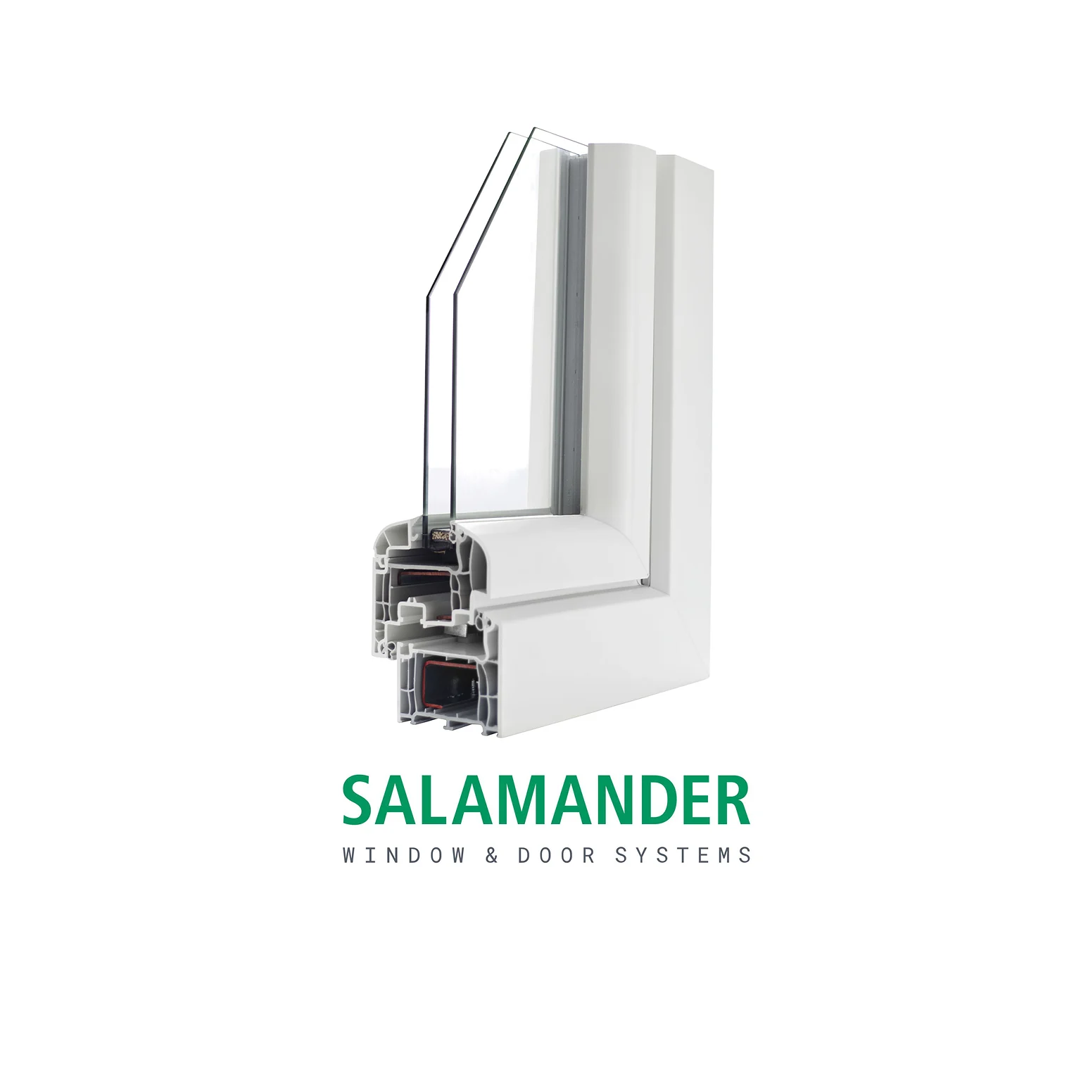 Salamander
